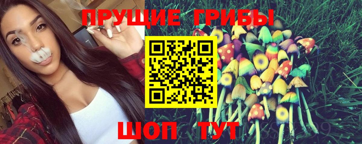 Галлюциногенные грибы Cubensis  Вход с VPN  магазин продажи   Галлюциногенные грибы Cubensis  Вологда 